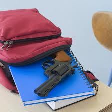 Gun bookbag