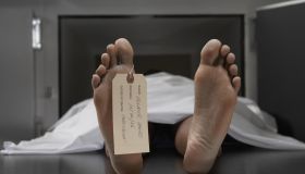 'Cadaver on autopsy table, label tied to toe, close-up'