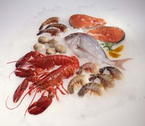 Variety of raw seafood