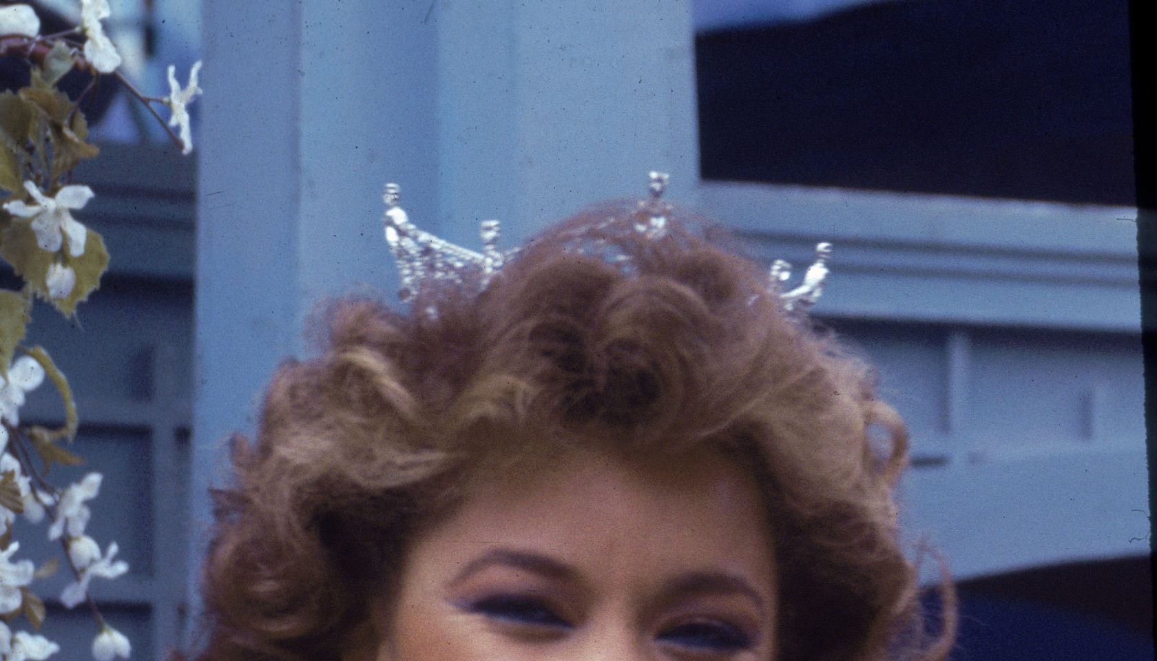 Vanessa Williams
