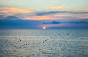 Colorful Mediterranean sunset with flock of birds