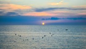 Colorful Mediterranean sunset with flock of birds