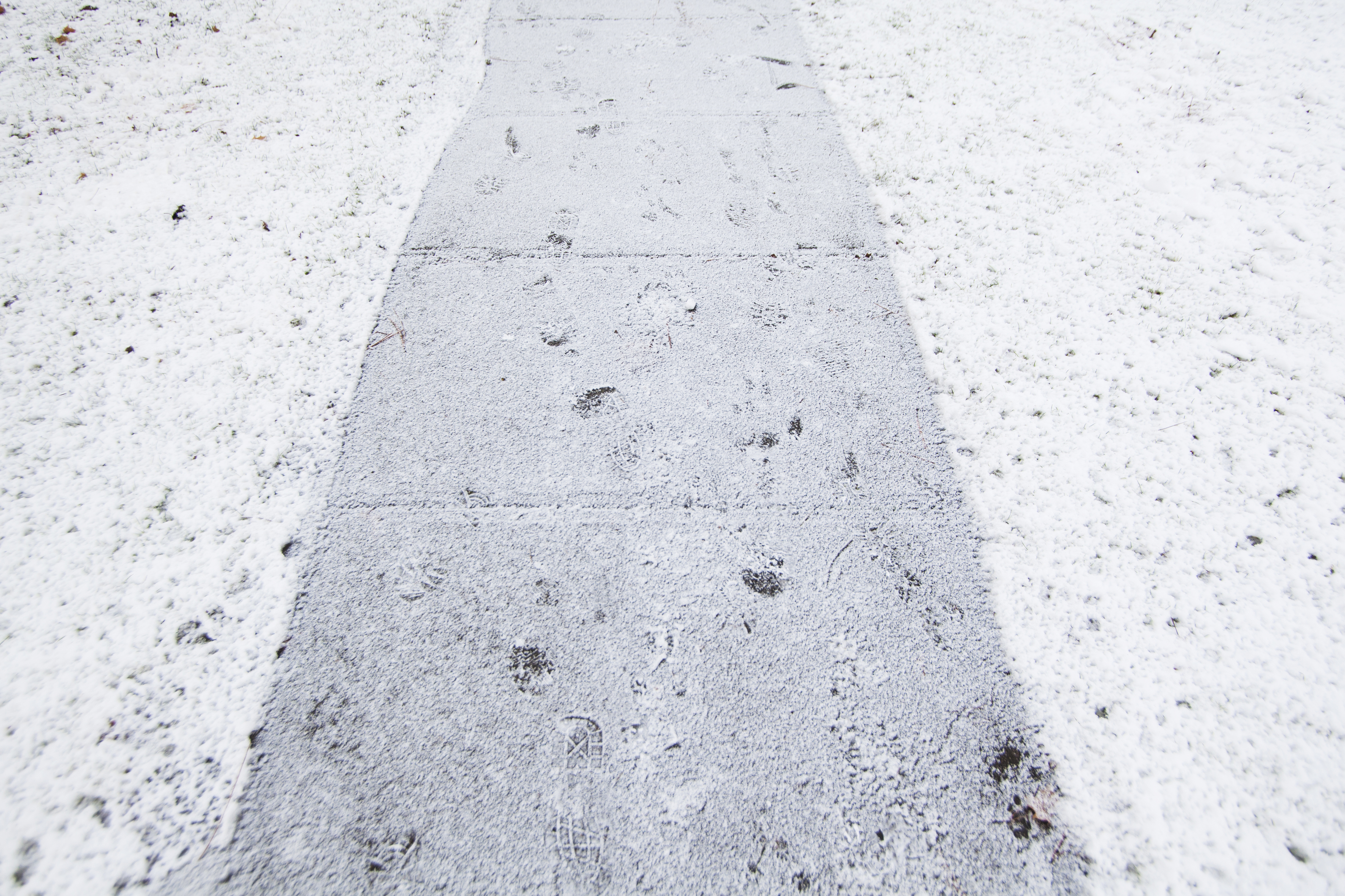 Sidewalk covered in snow, Spokane