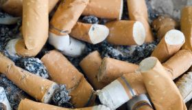 Close-Up Of Burnt Cigarettes In Ashtray