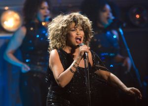 Tina Turner Performs In Arnhem