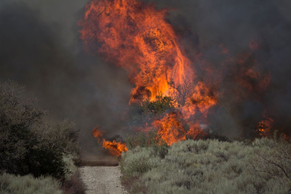Blue Cut Fire Rages Through 30,000 Acres In Southern California