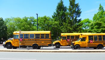 School Buses On Road Against Trees In City