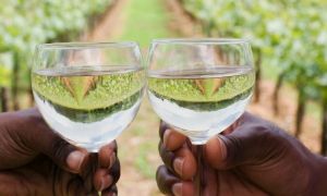 Black Hands With Wine Glasses