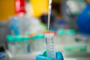 Cropped Hands Of Scientist Experimenting In Laboratory