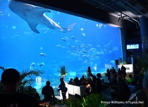 Gunna 'Drip Or Drown' Album Release Party At Georgia Aquarium