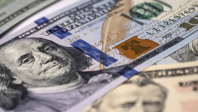 One Hundred Dollar Bill