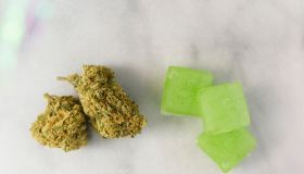 Cannabis Buds and Cannabis Gummies