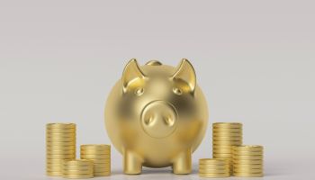 Piggy piggy bank and dollar coins