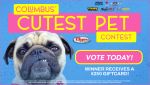 Byers Imporat Cutests Pet Vote Now