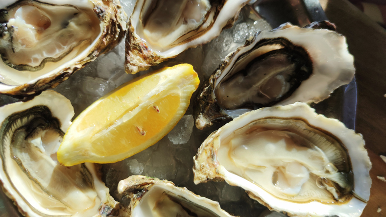 fresh french oyster as gourmet seafood