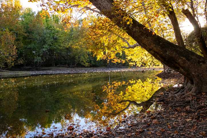 Antrim park radiant autumn creek golden hour,Columbus,Ohio,United States,USA