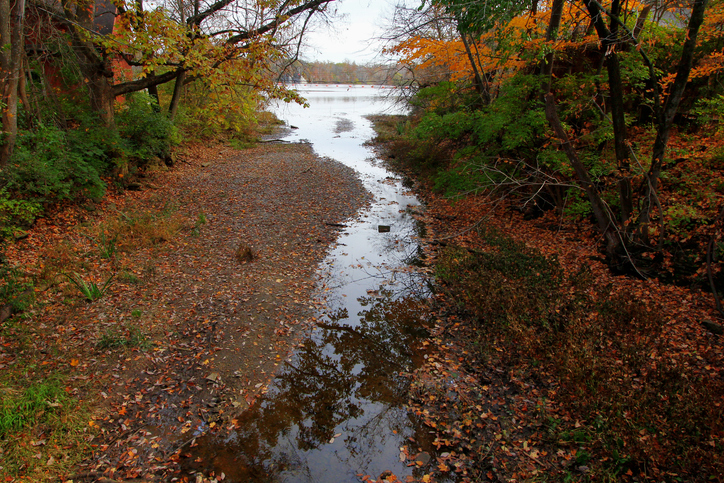 Indian Village Canyon in Autumn, Columbus, Ohio