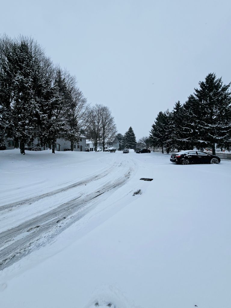 Morning scene in parking lot after a snowfall