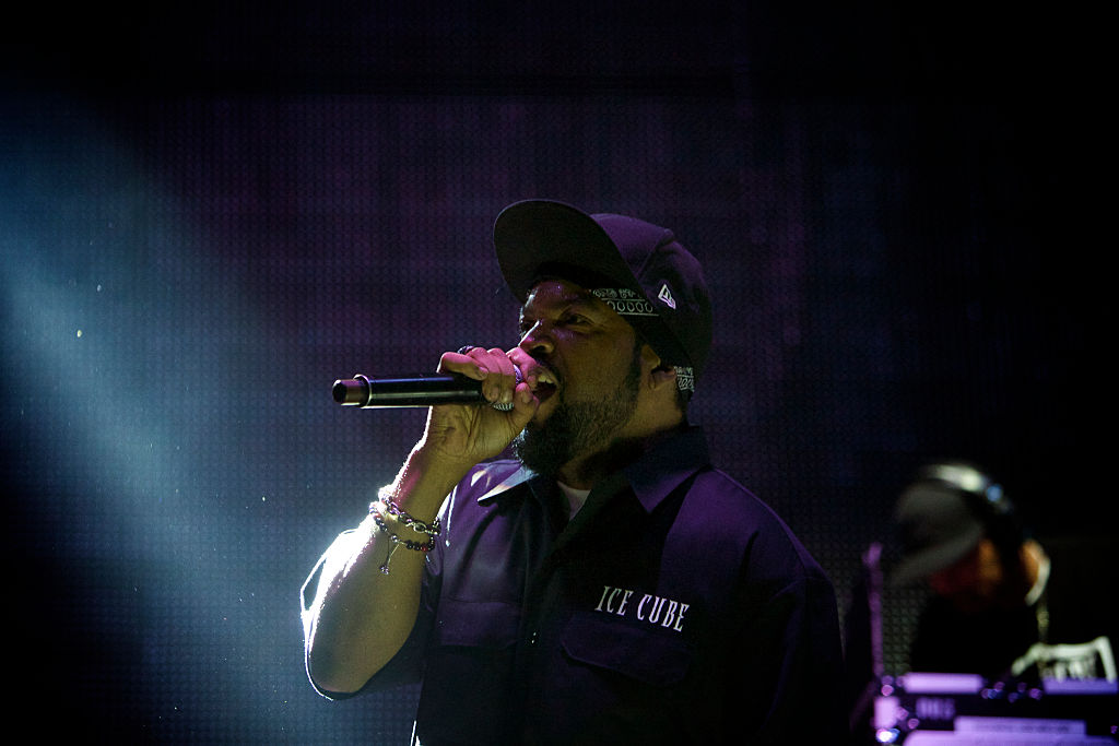 USA – 2014 Bonnaroo Music Festival
